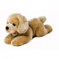 Labrador